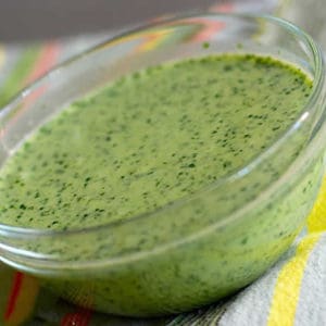 Skinny Cilantro Lime Dressing Recipe by @BlenderBabes