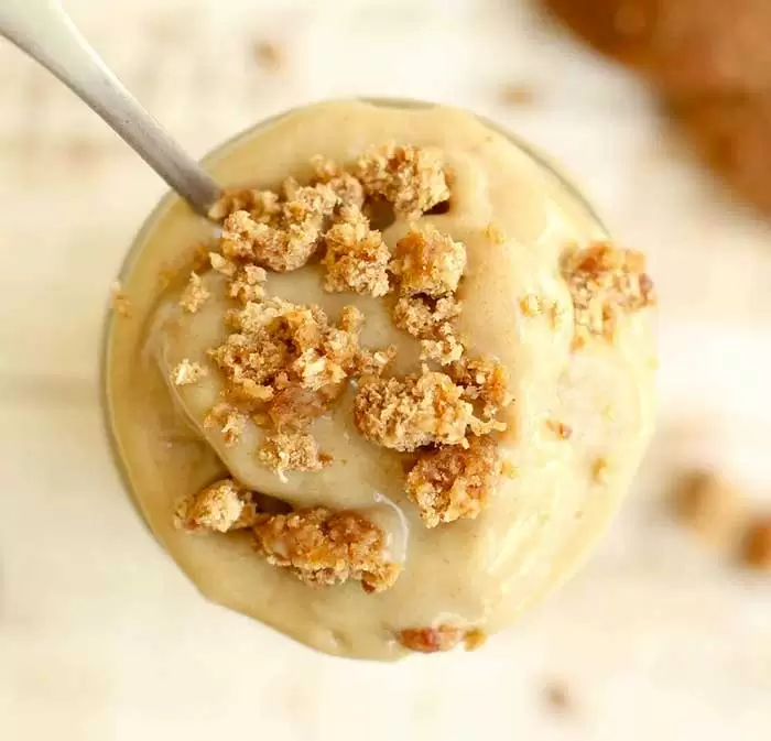 Blendtec and Vitamix Ice Cream Recipes | Snickerdoodle Blizzard Ice Cream