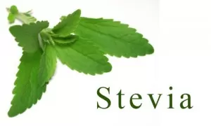 Stevia sugar substitute sweetener
