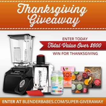 Blender Babes' Thanksgiving Blendtec giveaway