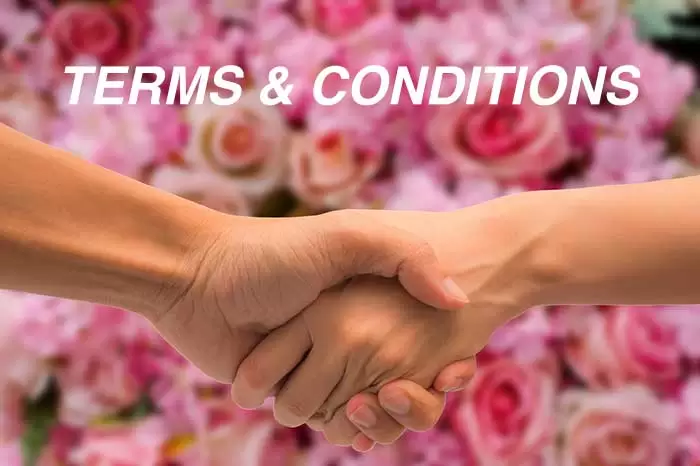 Terms and Conditions