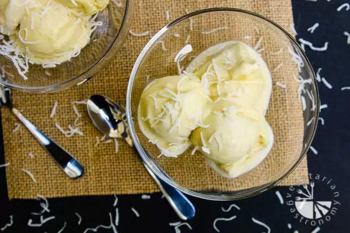 Blendtec and Vitamix Ice Cream Recipes | Tropical Creamy Vegan Soft Serve