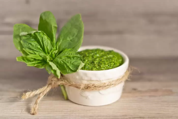 Very Veggie Vegan Pesto