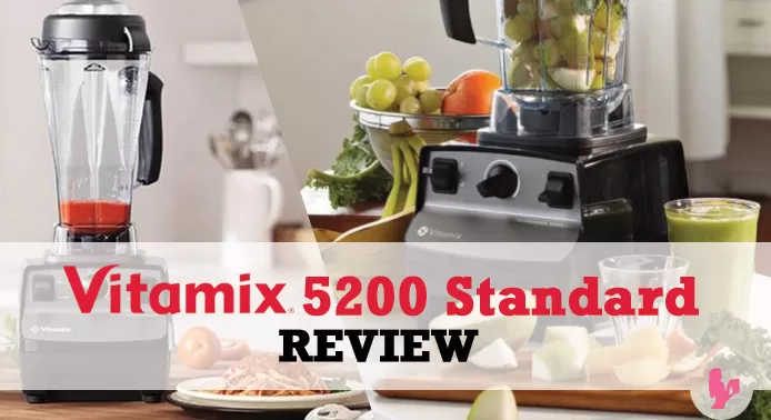 Comprehensive Vitamix 5200 Standard Review by @BlenderBabes