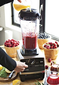 Vitamix blender seeds