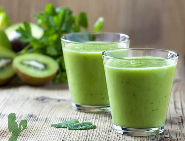 Kiwi Ginger Weight Loss Green Smoothie Recipe Blender Babes