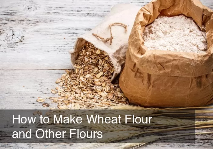 How to Make Wheat Flour and Other Flours by @BlenderBabes