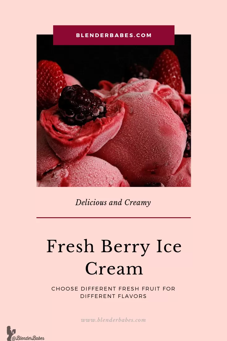berry ice cream blender babes 