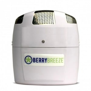 Berry Breeze Review