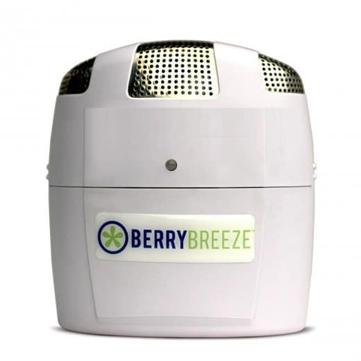 fruit breezer price