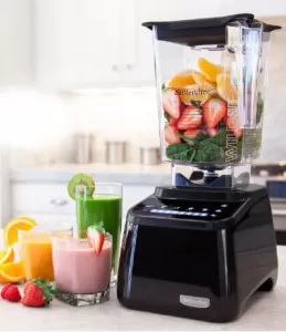 Blendtec vs Vitamix vs Ninja ~ Blending Raspberry, Blackberry & Other Berry Seeds by @BlenderBabes