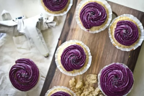 BLUEBERRY CREAM CHEESE FROSTING RECIPE IN A VITAMIX OR BLENDTEC BLENDER