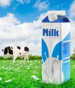 Dairy Cow Milk 