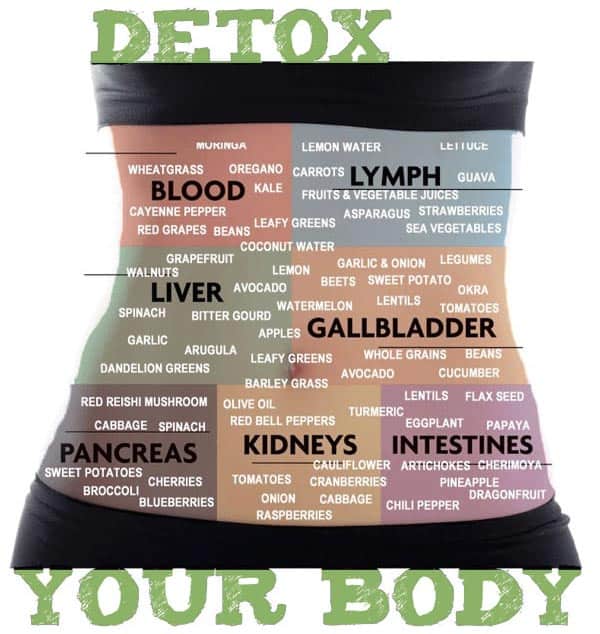 Juice Detox Why How Free Juice Cleanse Recipes Blender Babes