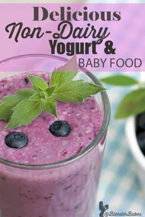 NonDairy Blueberry Yogurt and Baby Food Recipe Blender Babes