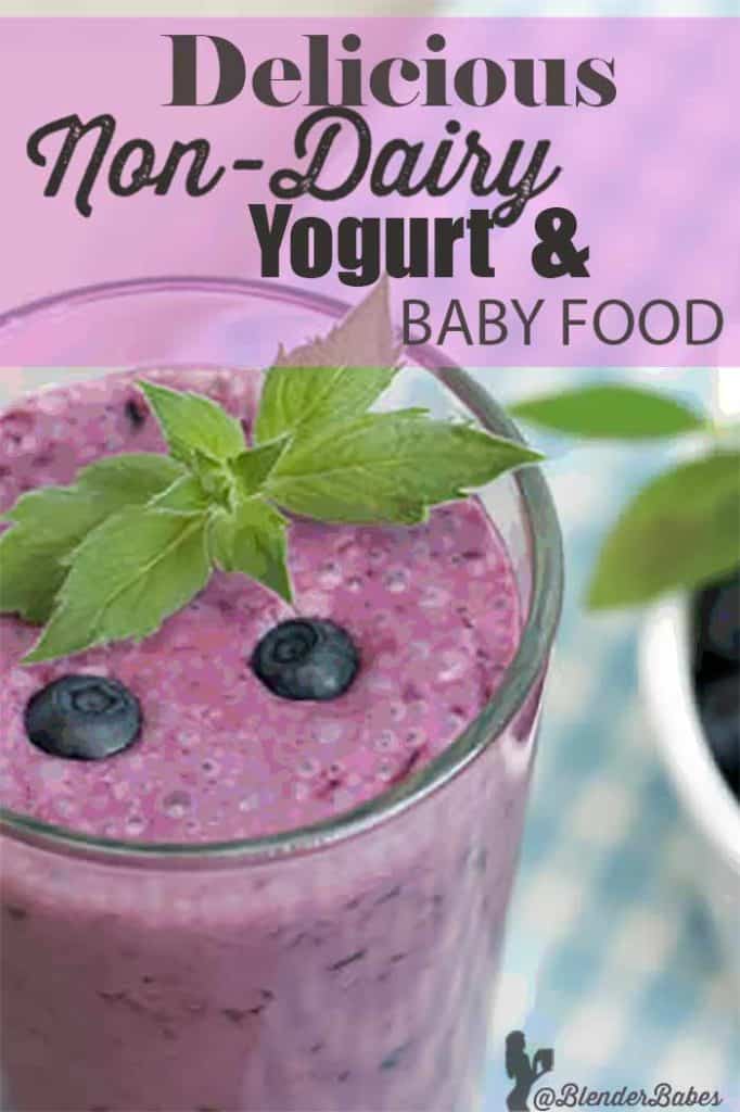 NonDairy Blueberry Yogurt and Baby Food Recipe Blender Babes