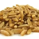 khorasan wheat