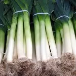 leeks