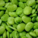 lima beans