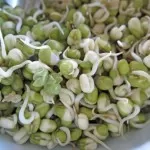 mung beans