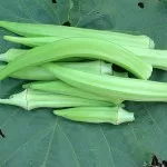 okra