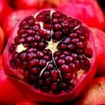 pomegranate