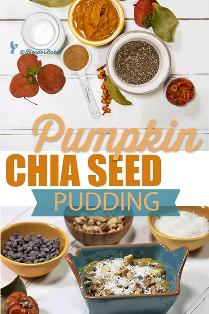 pumpkin chia seed pudding blender recipe