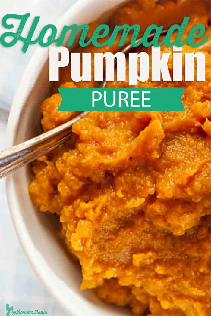 Easy Autumn Homemade Pumpkin Puree Blender Babes