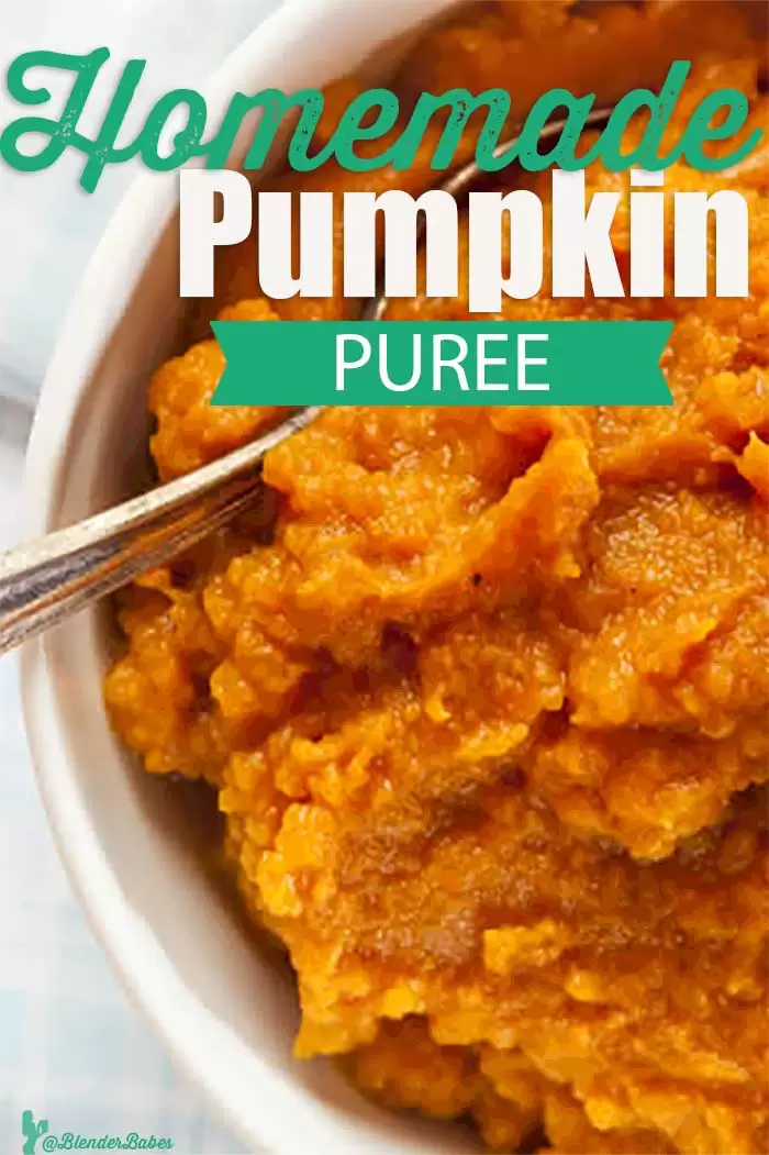 https://www.blenderbabes.com/wp-content/uploads/pumpkin-puree.jpg.webp