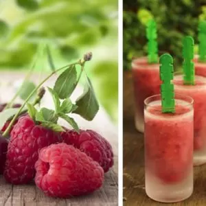 Frozen Berry Cherry Pops made in Your Blendtec or Vitamix by @BlenderBabes