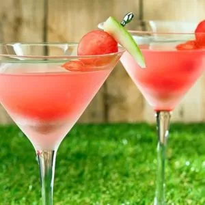 Watermelon Martini made in your Blendtec or Vitamix by @BlenderBabes