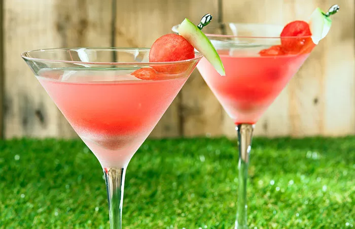 Watermelon Martini made in your Blendtec or Vitamix by @BlenderBabes