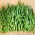 wheatgrass